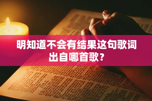 明知道不会有结果这句歌词出自哪首歌？