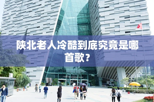 陕北老人冷酷到底究竟是哪首歌？