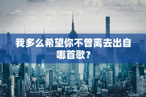 我多么希望你不曾离去出自哪首歌？