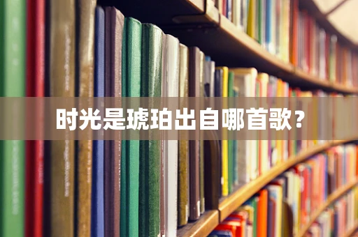 时光是琥珀出自哪首歌？