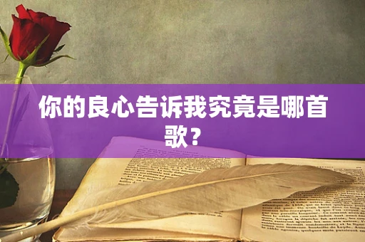你的良心告诉我究竟是哪首歌？