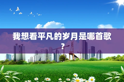 我想看平凡的岁月是哪首歌？