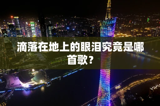 滴落在地上的眼泪究竟是哪首歌？