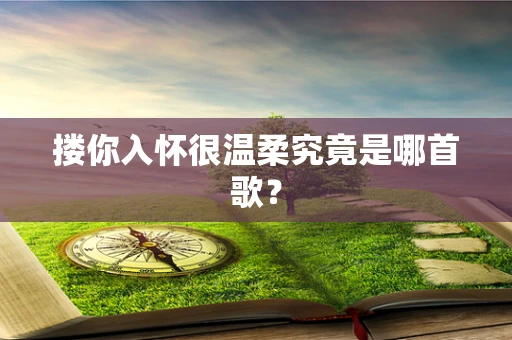 搂你入怀很温柔究竟是哪首歌？