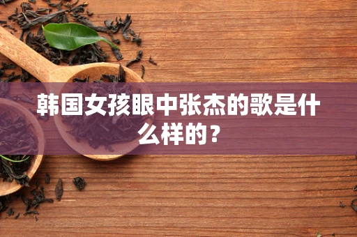 韩国女孩眼中张杰的歌是什么样的？