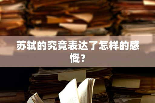 苏轼的究竟表达了怎样的感慨？