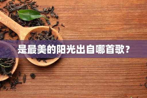 是最美的阳光出自哪首歌？
