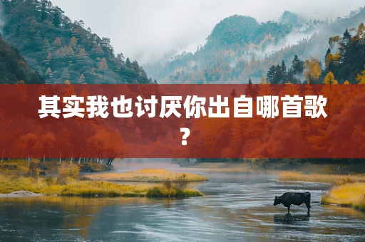 其实我也讨厌你出自哪首歌？