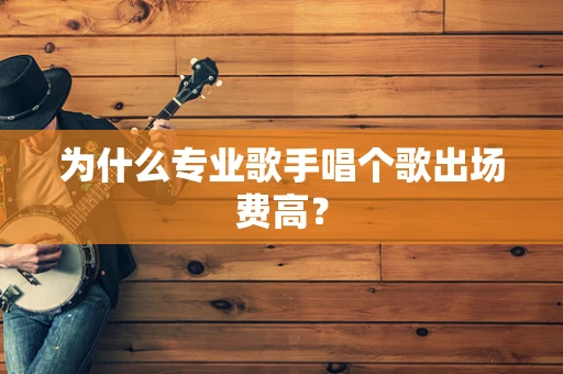 为什么专业歌手唱个歌出场费高？