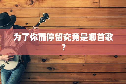 为了你而停留究竟是哪首歌？