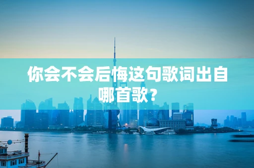 你会不会后悔这句歌词出自哪首歌？