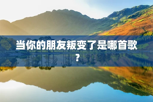 当你的朋友叛变了是哪首歌？