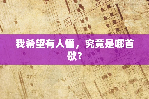 我希望有人懂，究竟是哪首歌？
