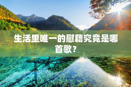 生活里唯一的慰藉究竟是哪首歌？