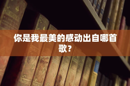 你是我最美的感动出自哪首歌？