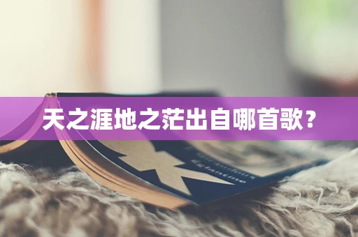 天之涯地之茫出自哪首歌？