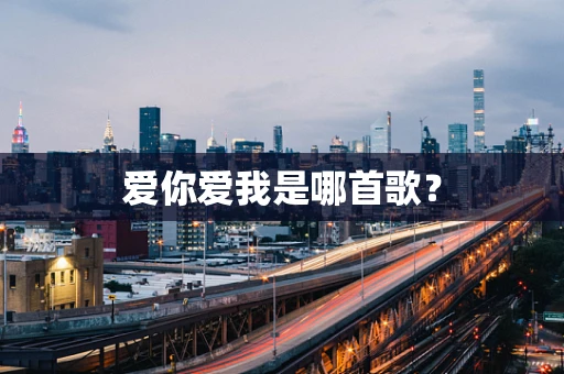 爱你爱我是哪首歌？