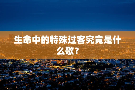 生命中的特殊过客究竟是什么歌？