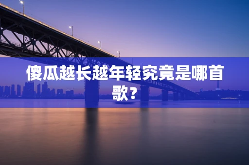 傻瓜越长越年轻究竟是哪首歌？