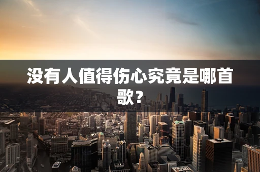 没有人值得伤心究竟是哪首歌？