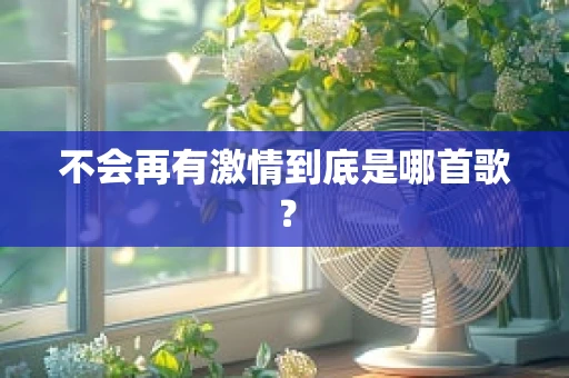 不会再有激情到底是哪首歌？