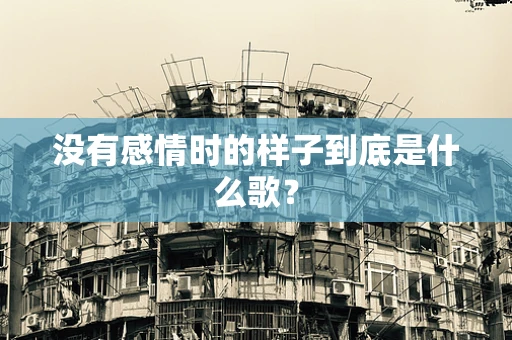 没有感情时的样子到底是什么歌？