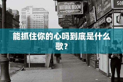能抓住你的心吗到底是什么歌？