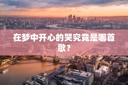 在梦中开心的哭究竟是哪首歌？