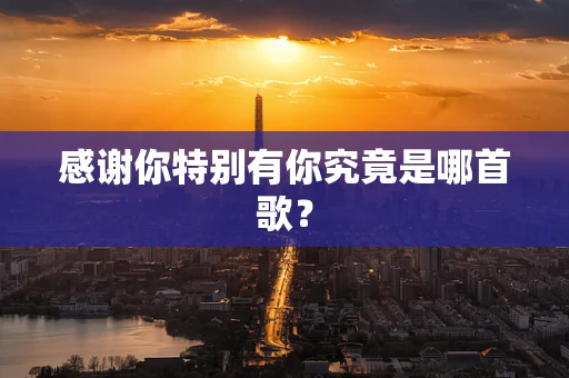 感谢你特别有你究竟是哪首歌？