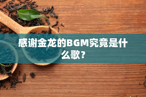 感谢金龙的BGM究竟是什么歌？