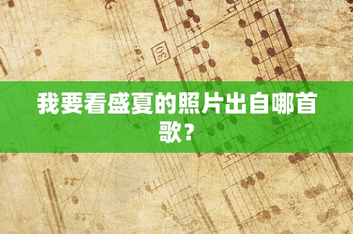 我要看盛夏的照片出自哪首歌？