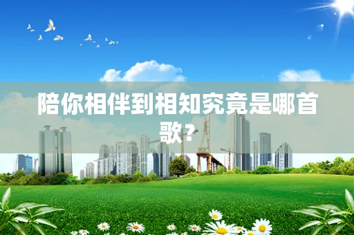 陪你相伴到相知究竟是哪首歌？