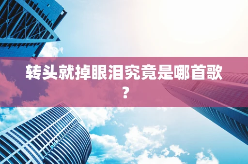 转头就掉眼泪究竟是哪首歌？