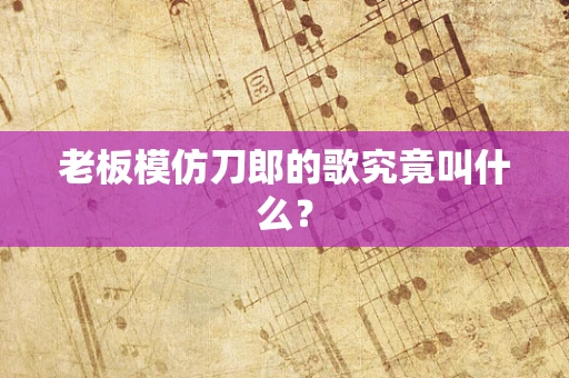 老板模仿刀郎的歌究竟叫什么？
