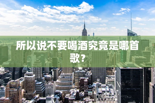 所以说不要喝酒究竟是哪首歌？