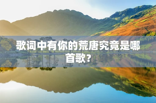 歌词中有你的荒唐究竟是哪首歌？