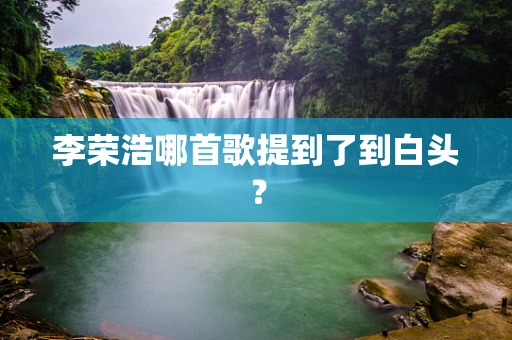 李荣浩哪首歌提到了到白头？