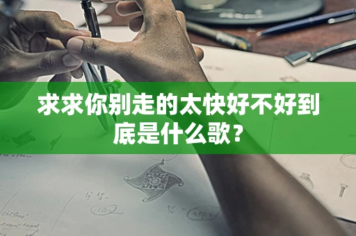 求求你别走的太快好不好到底是什么歌？