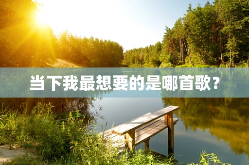 当下我最想要的是哪首歌？
