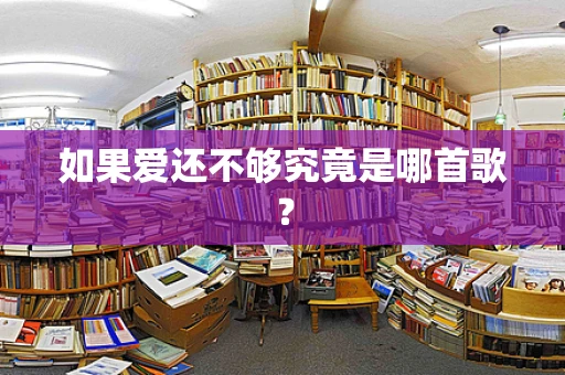 如果爱还不够究竟是哪首歌？