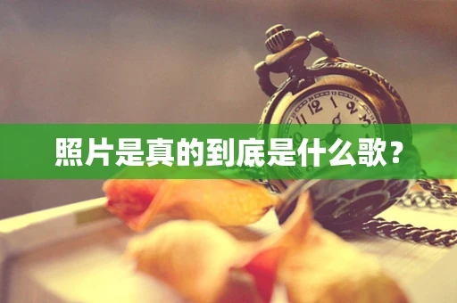 照片是真的到底是什么歌？