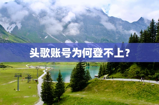 头歌账号为何登不上？