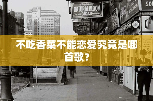 不吃香菜不能恋爱究竟是哪首歌？