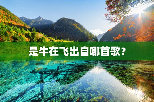 是牛在飞出自哪首歌？