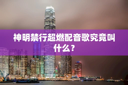 神明禁行超燃配音歌究竟叫什么？