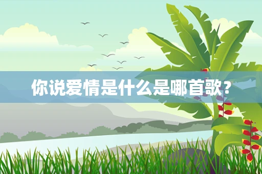 你说爱情是什么是哪首歌？