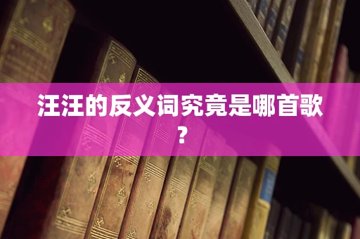 汪汪的反义词究竟是哪首歌？