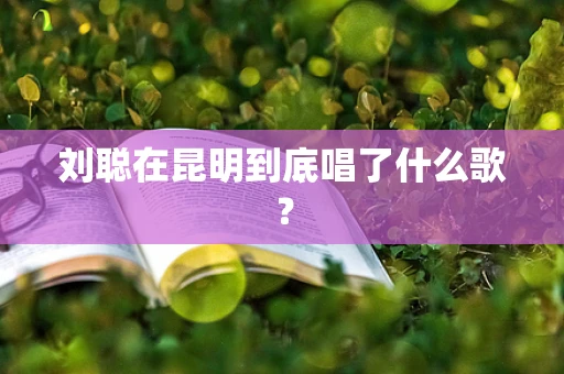 刘聪在昆明到底唱了什么歌？