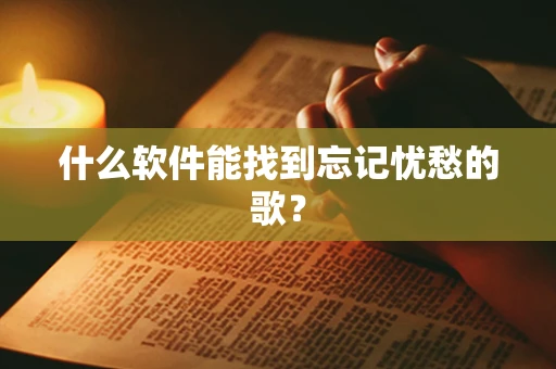 什么软件能找到忘记忧愁的歌？