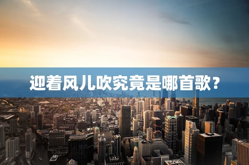 迎着风儿吹究竟是哪首歌？